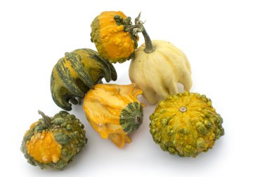 Dekoratif çok renkli kabaklar 