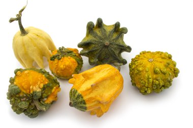 Dekoratif çok renkli kabaklar 