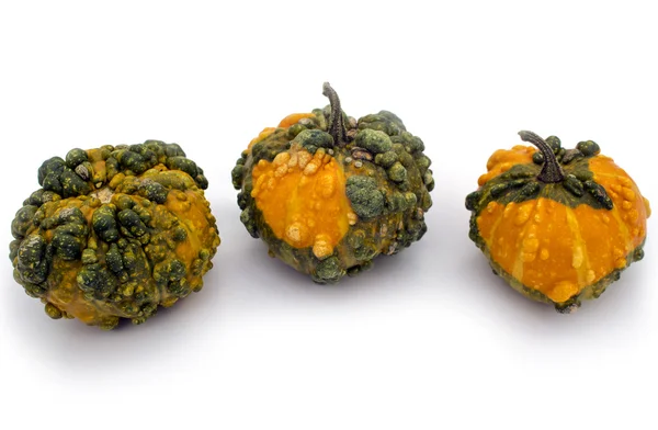 Three decorative pumpkins — Stock Photo, Image