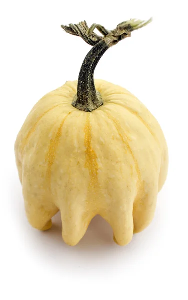 Decorative yellow colour a pumpkin — Stock Photo, Image