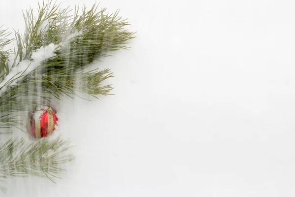 Ramo de pinheiro com a esfera de um Ano Novo vermelho — Fotografia de Stock