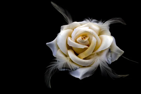 Decorative ornament a tea rose — Stock Photo, Image