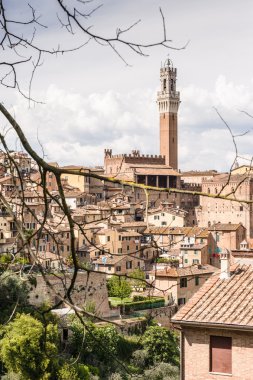 Çan kulesi ağaç dalları tarafından çerçeveli