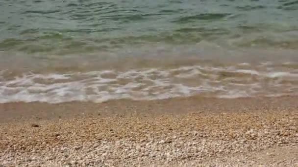 Le beau lac et la surface de l'eau, le lac Baïkal, le son du surf — Video