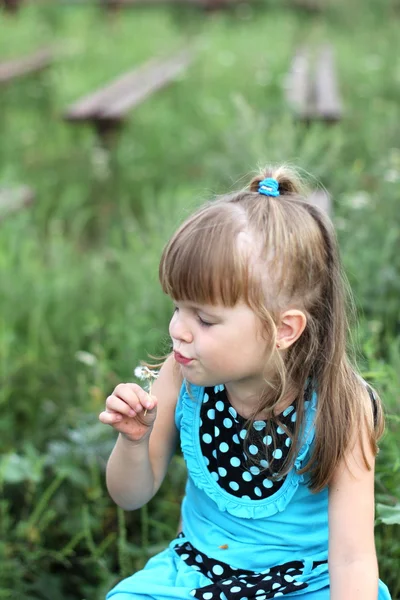 Kleines Mädchen mit langen Haaren spielt im Sommer auf Gras — Stockfoto