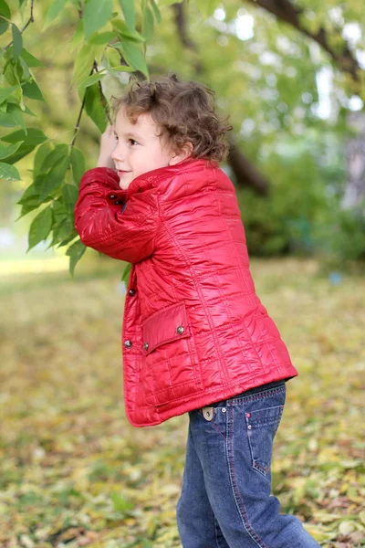 Lockigt gladlynt pojke promenader i skogen bland träden och gula blad på hösten — Stockfoto