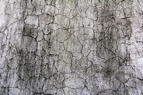 Eroded Vecchio Intonaco Grigio Parete Sporco Grattato Texture Sfondo — Foto Stock
