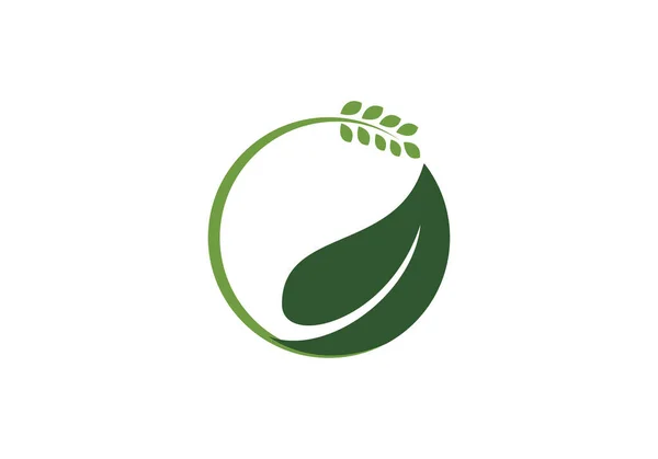 Plantilla Diseño Logotipo Agrícola Este Icono Del Logotipo Incorporan Con — Archivo Imágenes Vectoriales