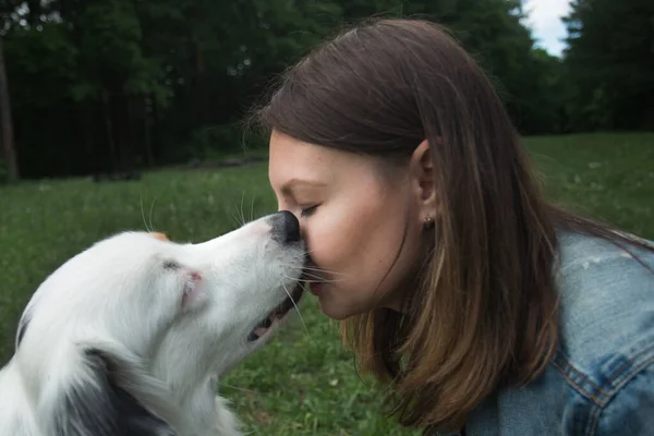 Australische herder zoent met vrouw op zomerveld. Close-up portret. — Stockfoto