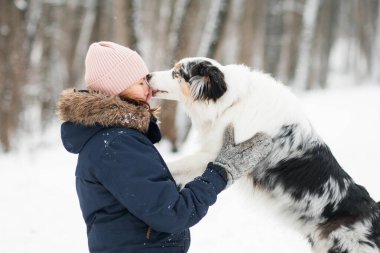 Avustralya çoban köpeği kış ormanında bir kadınla öpüşüyor..