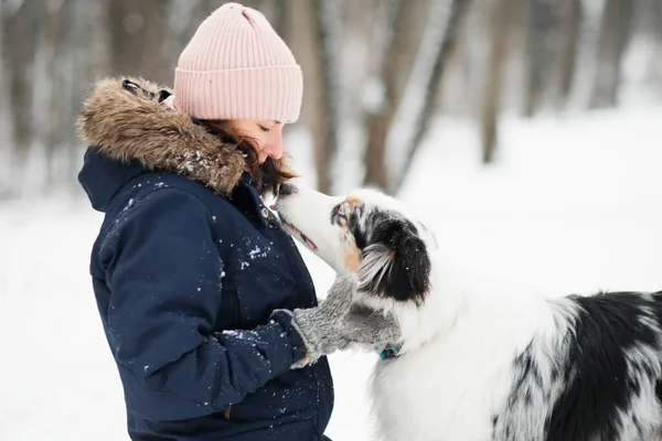 Pastore australiano guardando la donna nella foresta invernale. — Foto Stock