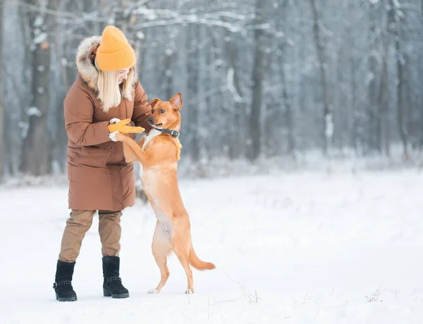 Voluntária fêmea brincando com cão sem-teto no abrigo animal ao ar livre — Fotografia de Stock