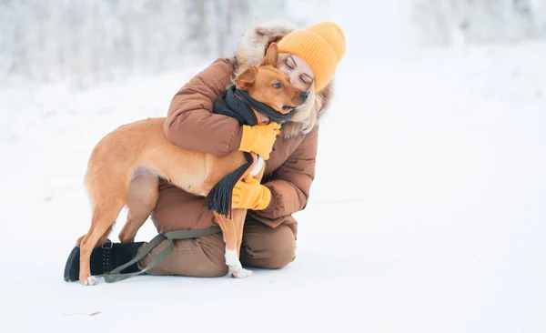 Kış ormanında kızıl melez köpeği öpen bir kadın.. — Stok fotoğraf