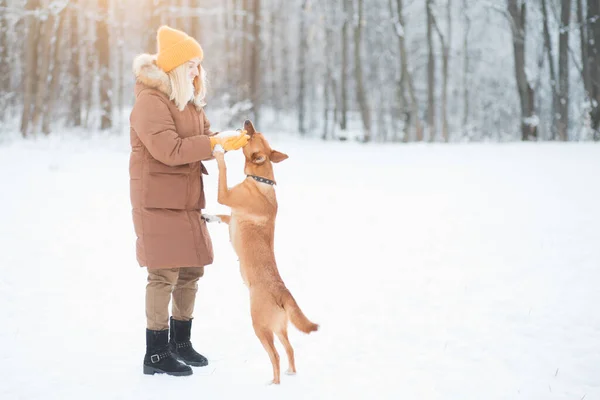 Volontaire féminine jouant avec un chien sans abri dans un refuge pour animaux à l'extérieur — Photo