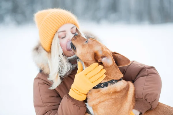 Mulher beijando cão rafeiro vermelho no inverno. Cão Valentine. — Fotografia de Stock