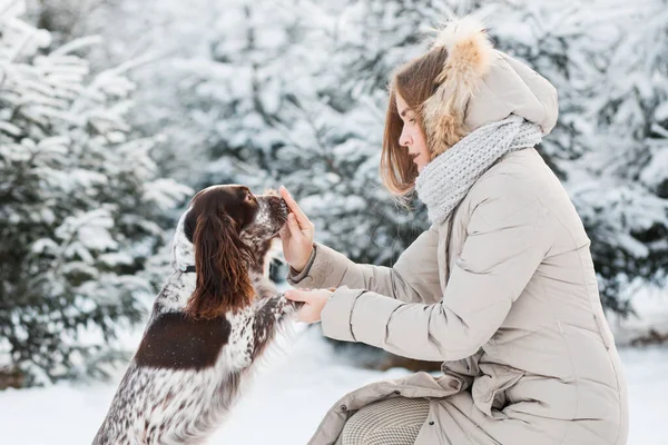 Donna felice che gioca con il cioccolato spaniel nella foresta invernale. vicino. — Foto Stock