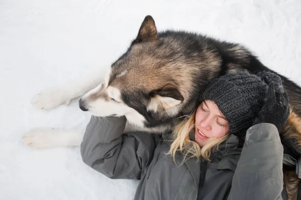 Malamute do Alasca mentindo e abraçando com a mulher na floresta de inverno. de perto. — Fotografia de Stock