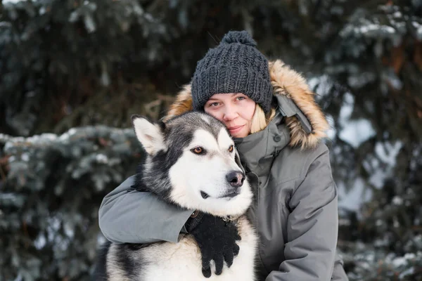 Alaskan malamute hugging with woman in winter forest. close up. — Stock Photo, Image