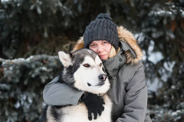 Malamute dell'Alaska che si abbraccia con una donna nella foresta invernale. vicino. — Foto Stock