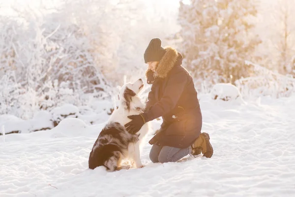 Donna che abbraccia con amore pastore australiano nella foresta invernale. Ora d'oro. — Foto Stock