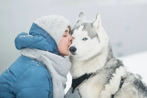 Mulher branca beijar Snowy siberian husky no inverno. Retrato de perto. Cão. — Fotografia de Stock