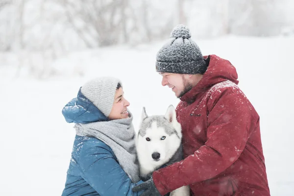 Casal abraçando husky siberiano no inverno. Dia dos namorados. Cão. — Fotografia de Stock