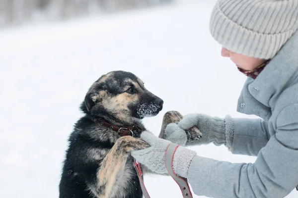 Mulher caucasiana segurando cores mistas cachorro cão mestiço no inverno ao ar livre — Fotografia de Stock