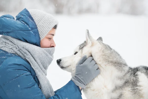 Mulher segurando Snowy rosto husky siberiano no inverno. Retrato de perto. Cão. — Fotografia de Stock