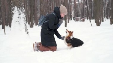 Beyaz kadın Galli Corgi Pembroke 'u top ile eğitiyor.. 
