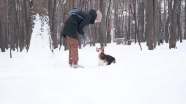 Beyaz kadın top oynayan Galli Corgi Pembroke. 
