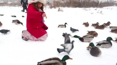 Vahşi ördekleri besleyen kız kış günü nehir kıyısında yüzer. Kar yağışıweather condition