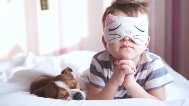 Chihuahua chien et garçon d'âge préscolaire dans un masque de sommeil couché dans un lit blanc. — Video