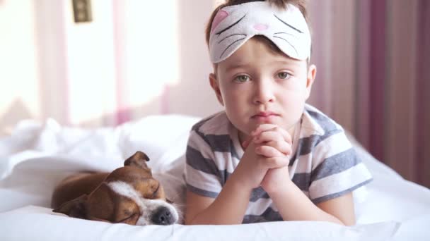 Chihuahua dog and preschool boy in sleep mask lying in white bed. — Stock Video