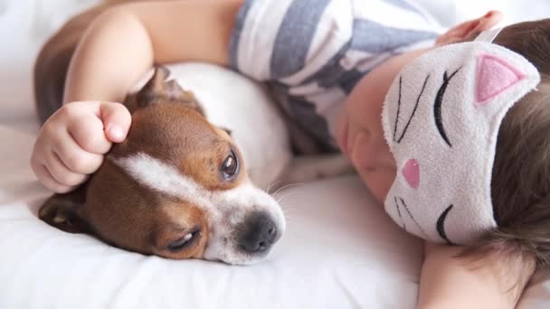 Chihuahua hund och förskola pojke sover och ligger i vit säng. — Stockvideo