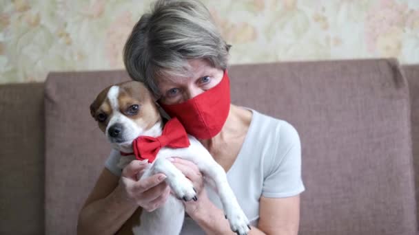 Senior kvinna i ansiktsmask håller chihuahua hund i röd fluga. Alla hjärtans dag — Stockvideo