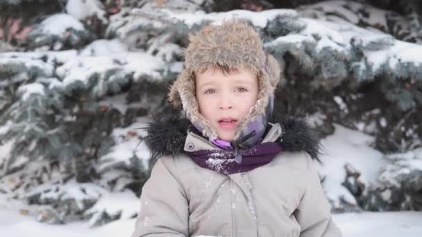 Little cute boy in winter hat with snowy face playing snowball — Stock Video
