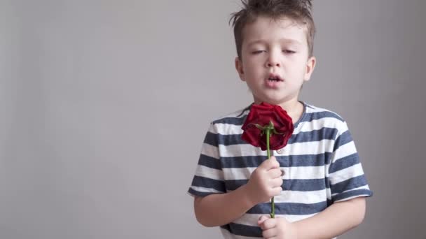 Bonito pequeno caucasiano triste menino sério com rosa vermelha. Dia dos namorados. — Vídeo de Stock