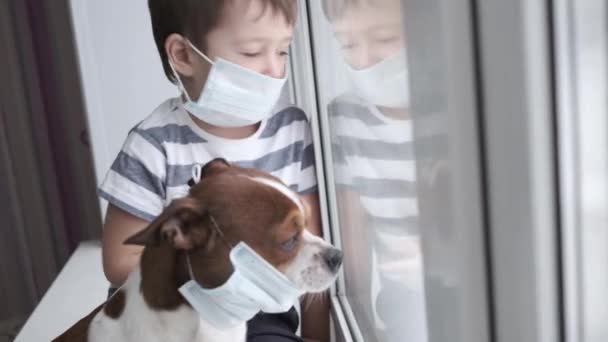 Garçon d'âge préscolaire avec chihuahua chien assis dans le masque facial sur la fenêtre — Video