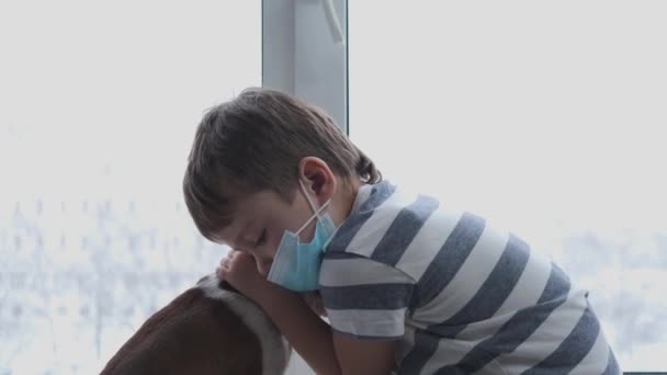 Сумний дошкільний хлопчик обіймає собаку чихуахуа, сидячи в масці на вікні — стокове відео