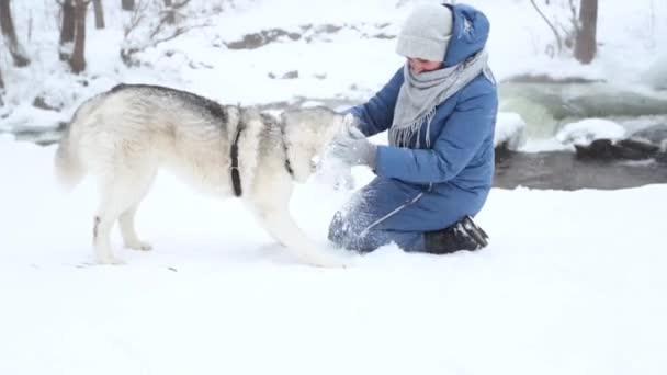 Fehér nő szibériai husky kutyával, télen havazik. Folyópart. — Stock videók