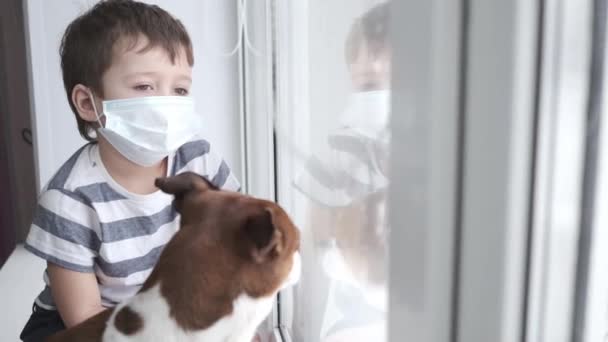 Garçon mignon préscolaire avec chihuahua chien assis dans le masque facial sur la fenêtre — Video