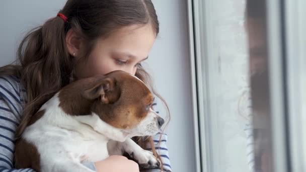Petite fille avec chihuahua chien assis sur la fenêtre. quarantaine. Gros plan. — Video