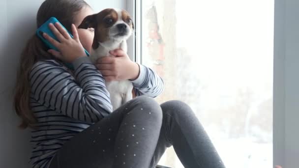 Chihuahua犬の窓の上に座っている小さな女の子。電話で話してる。隔離. — ストック動画