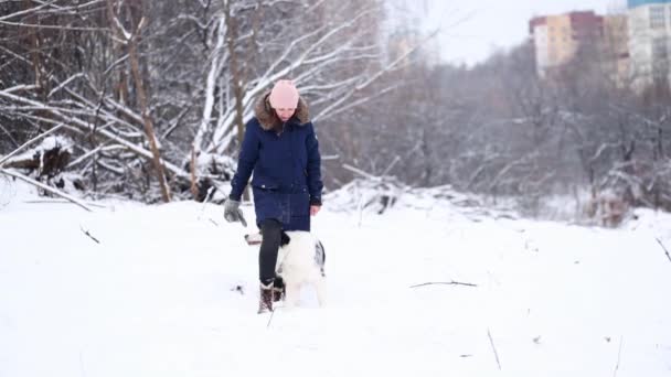 Vrouw trainen Australische herder hond in winterbos. — Stockvideo