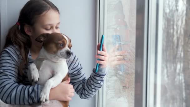 Menina com cão chihuahua sentado na janela. Faz o telefone selfie. quarentena. — Vídeo de Stock