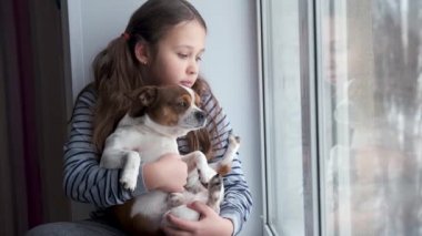 Penceresinde Chihuahua köpeği olan güzel bir kız. Karantina