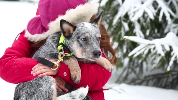Poco caucásico chica abrazando azul sanador cachorro en invierno. — Vídeos de Stock