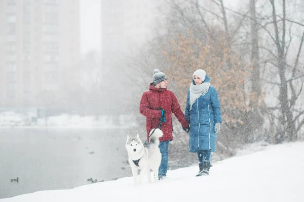 Casal que anda com o cão husky siberiano perto do lago no inverno. Dia dos namorados. — Fotografia de Stock