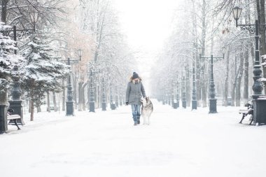 Avrupalı bir kadın kış kentinde Alaska 'lı bir köpekle yürüyor.. 