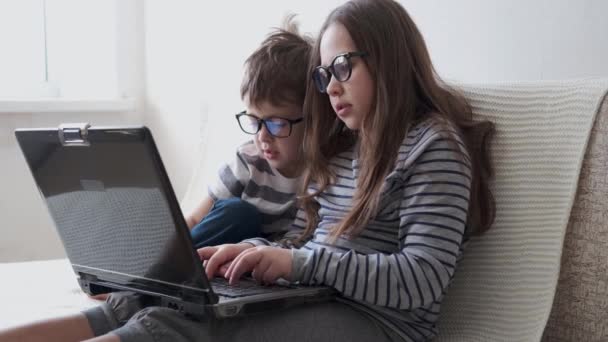 4k. pequeño lindo caucásico chica y chico en gafas estudio en portátil — Vídeos de Stock